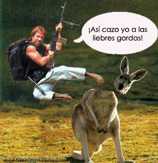 Chuck Norris, belverino oculto